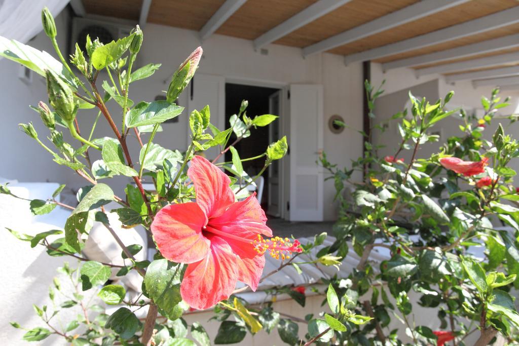Villa Sea Rose Липари Стая снимка